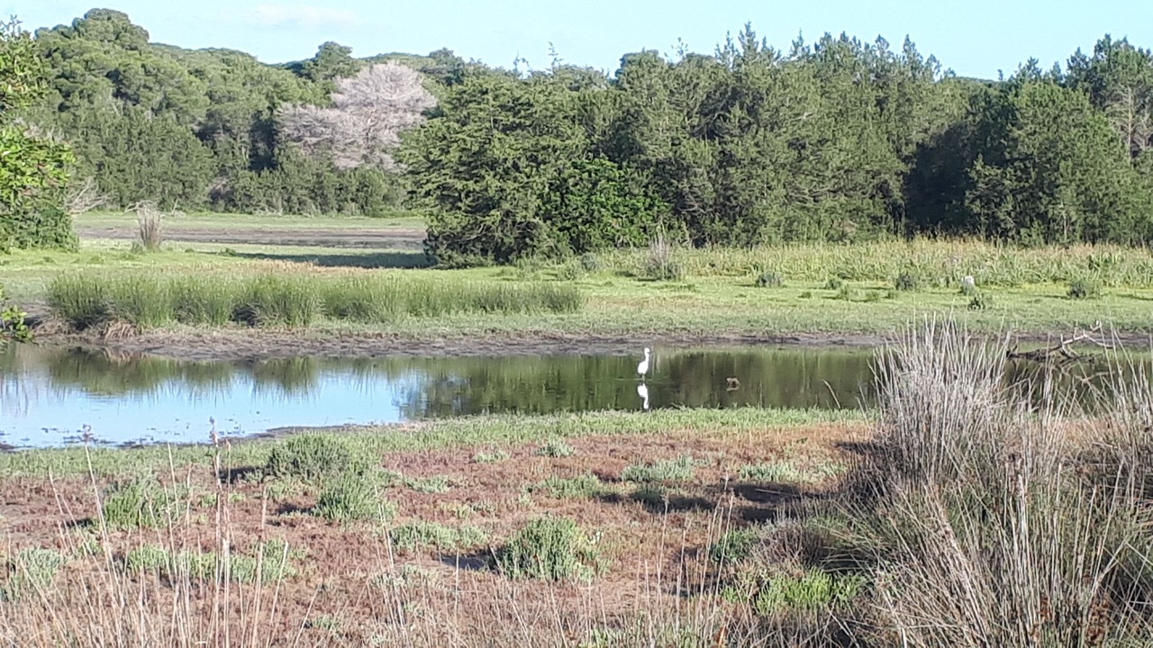 Photo of Outdoor in Larissos