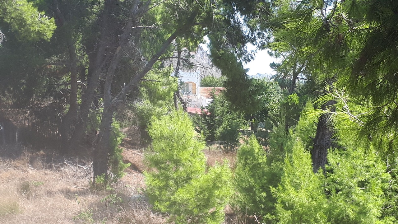 Photo of Others in Larissos