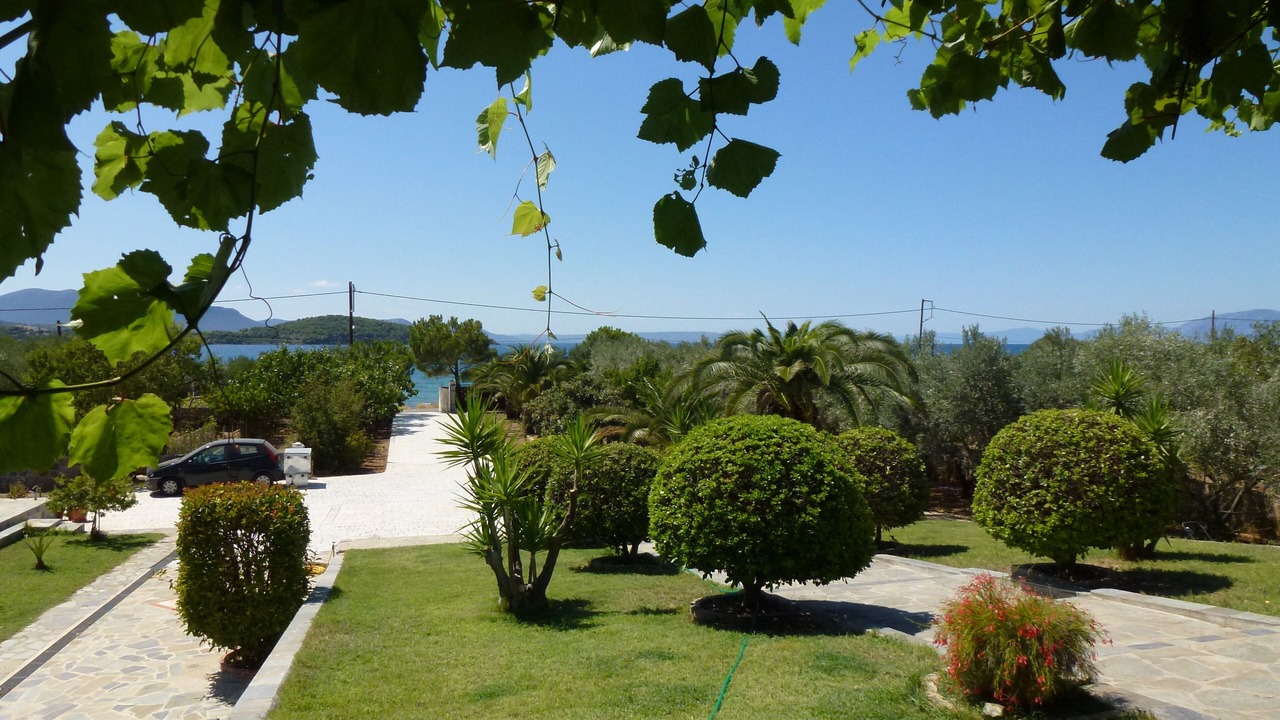 Photo of Others in Chalcis
