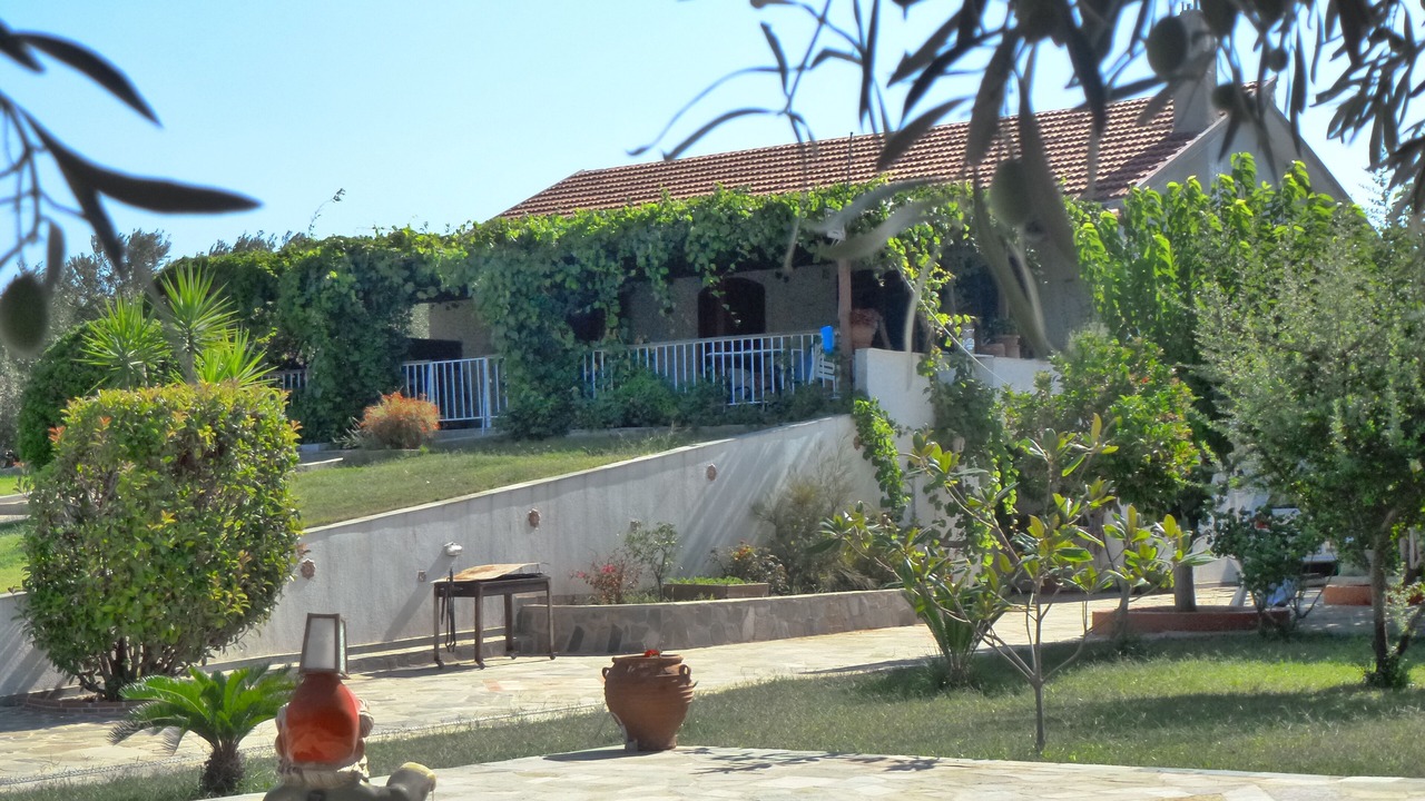 Photo of Others in Chalcis