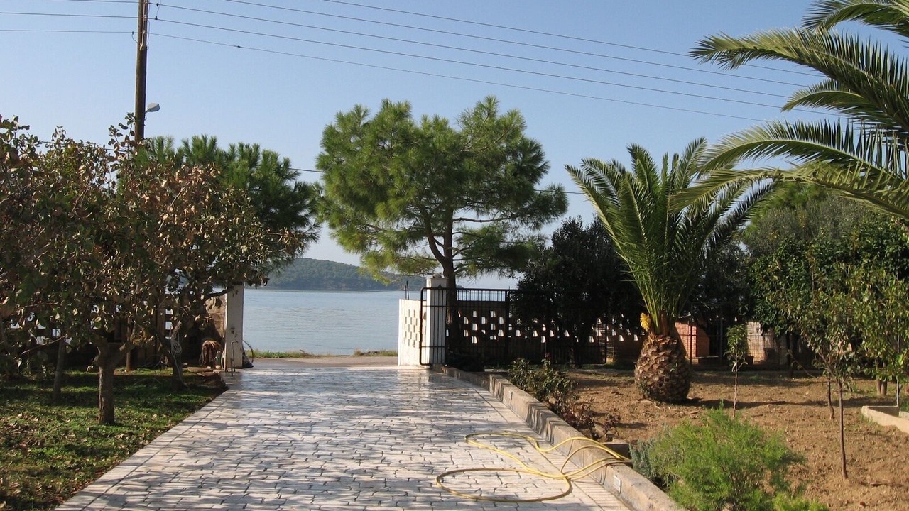 Photo of Others in Chalcis