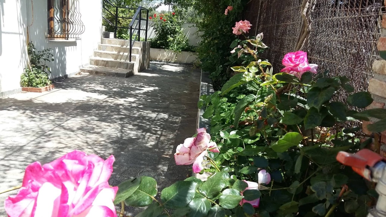Photo of Outdoor in Chalcis