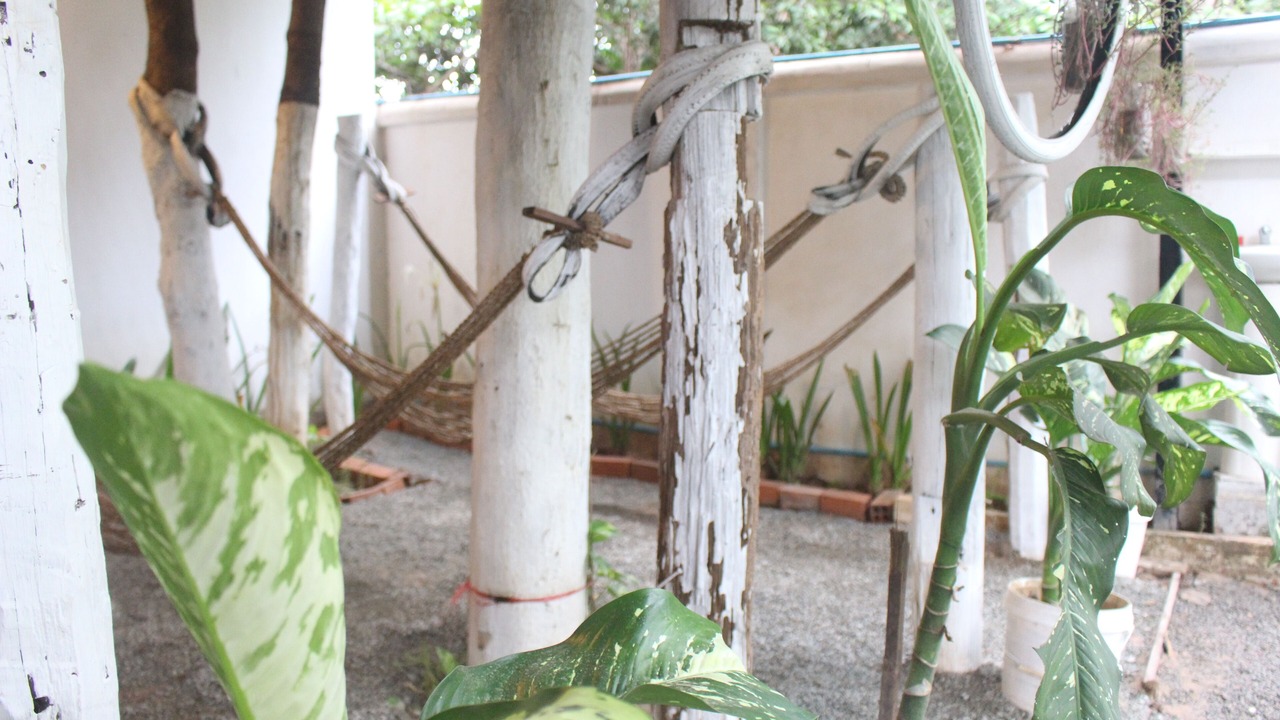 Photo of Outdoor in Siem Reap