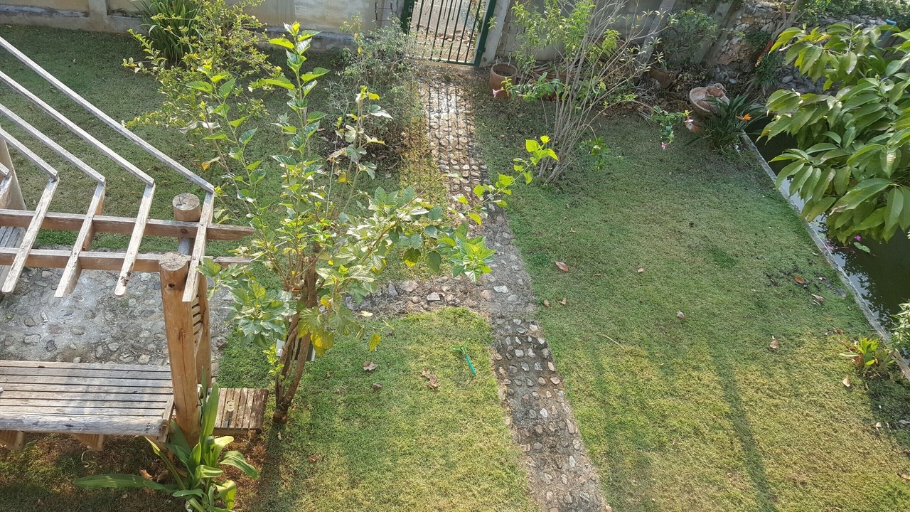 Photo of Outdoor in Chiang Mai