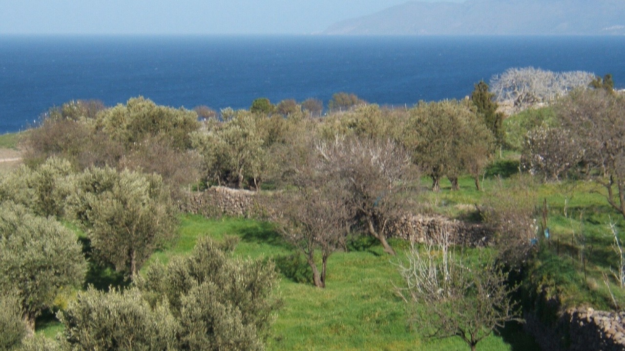 Photo of Outdoor in Mithimna