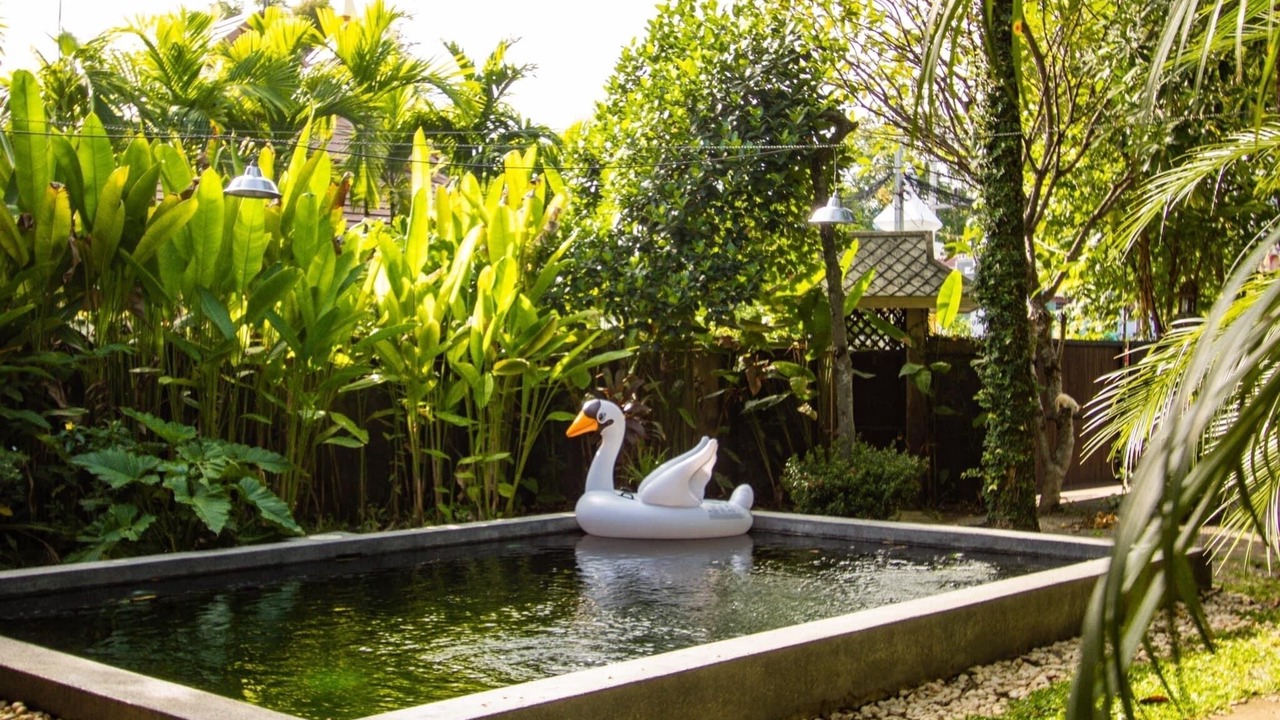 Photo of Outdoor in Chiang Mai