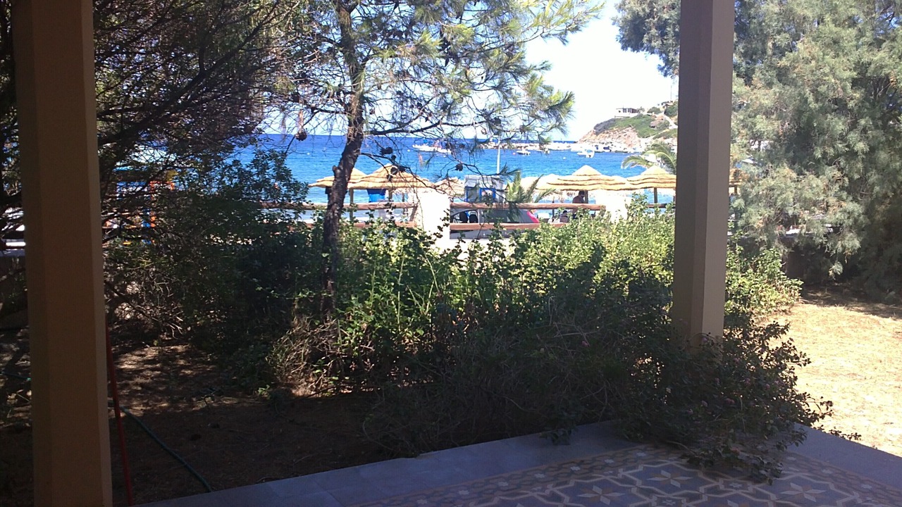 Photo of Outdoor in Kini