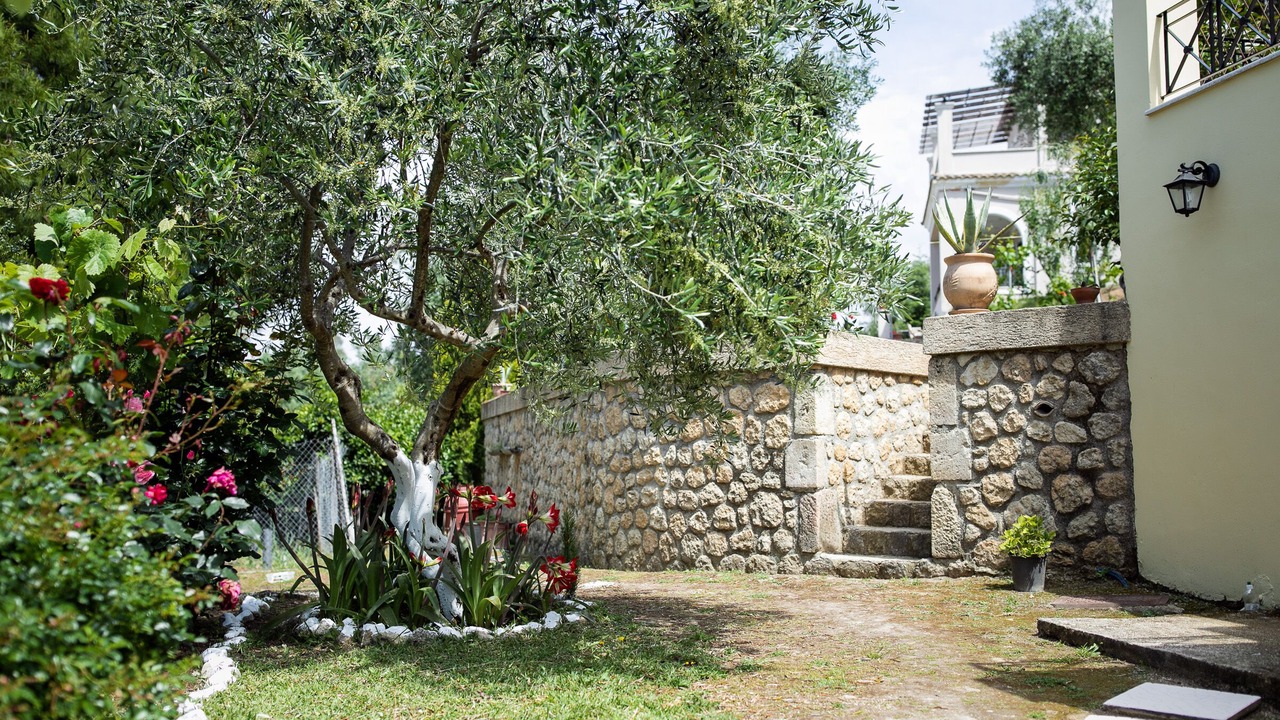 Photo of Outdoor in Sfakera