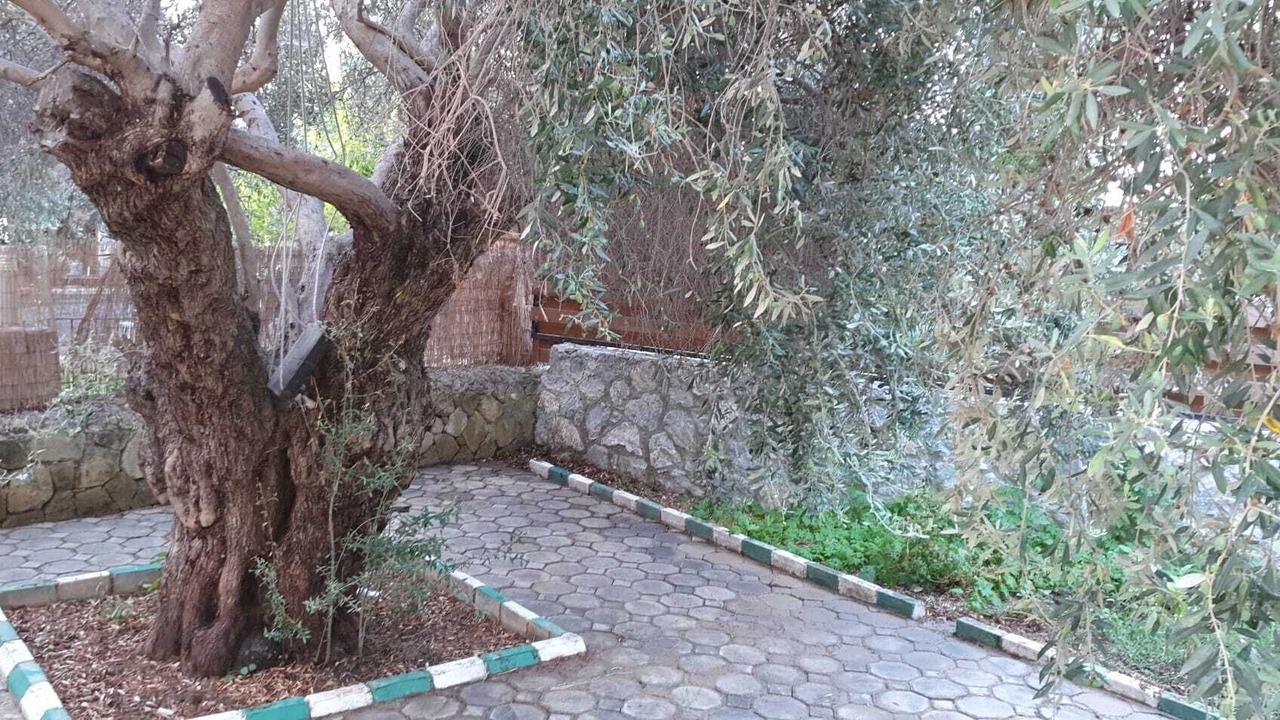 Photo of Outdoor in Ozankoy