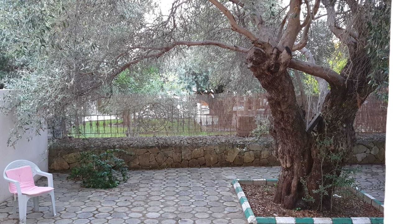Photo of Outdoor in Ozankoy
