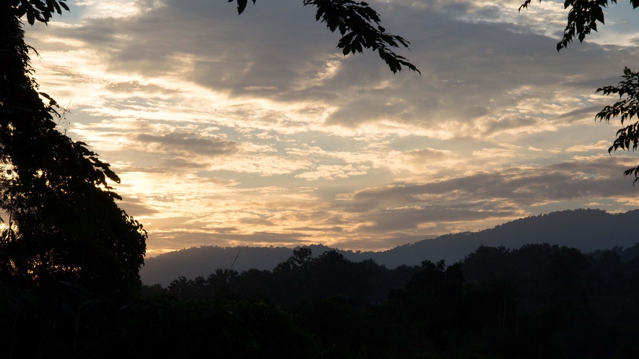 Photo of Others in Nang Lae
