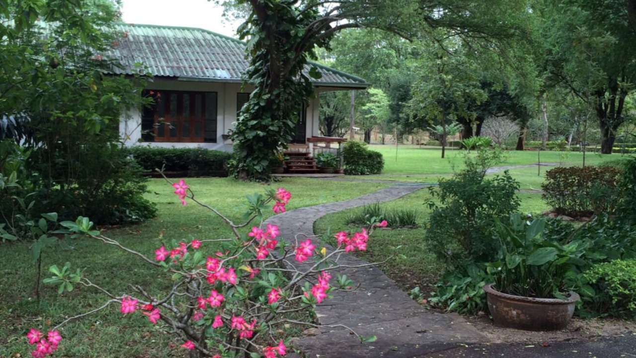 Photo of Outdoor in Chong Sadao