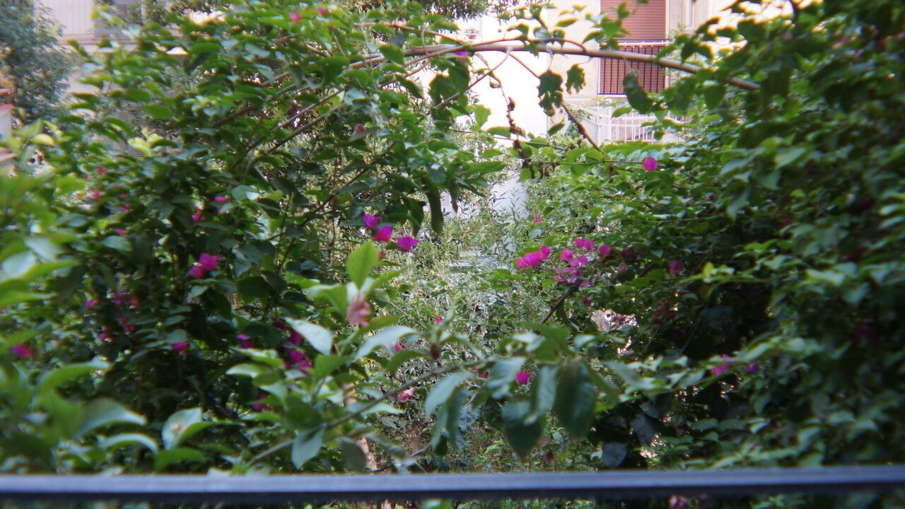 Photo of Outdoor in New Kypseli