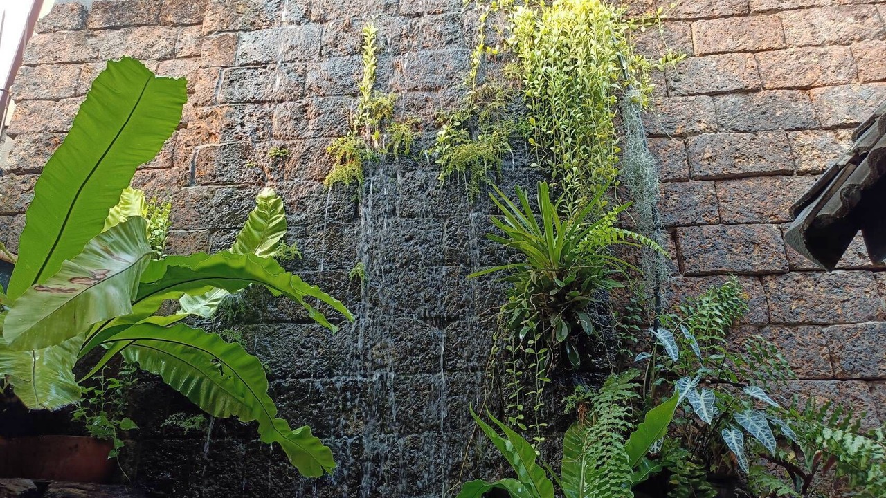 Photo of Outdoor in Chang Phueak