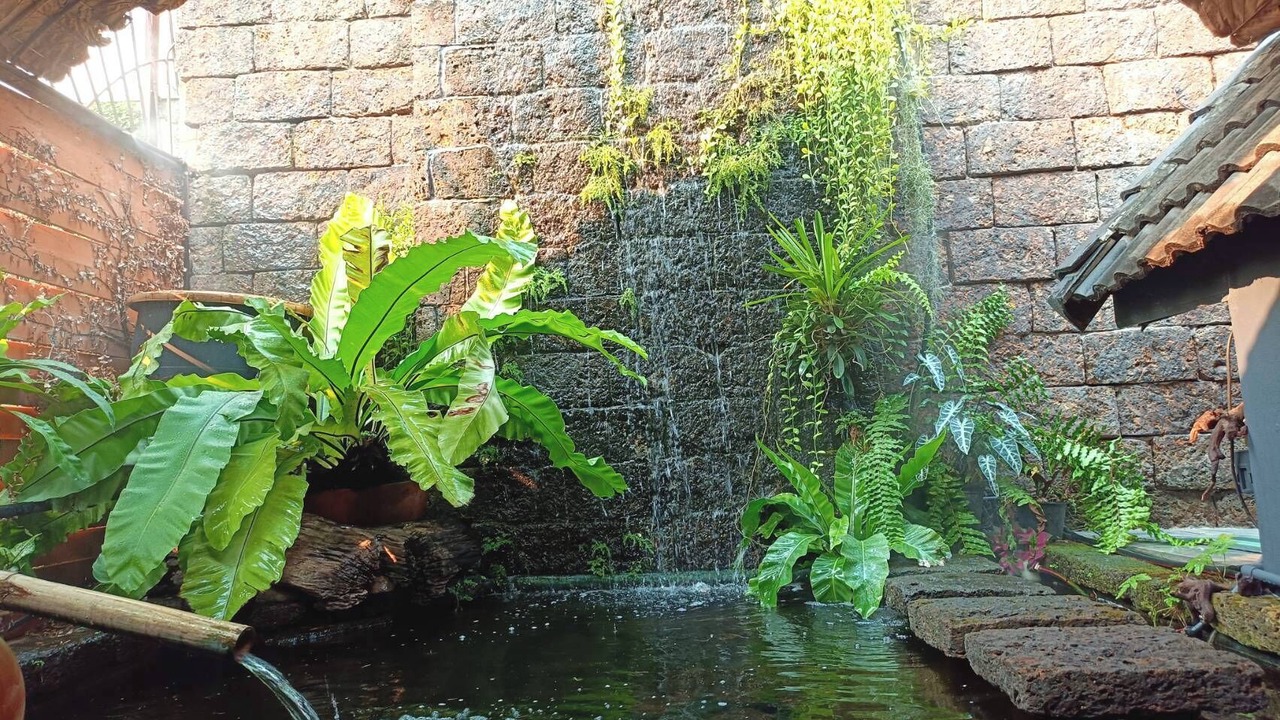 Photo of Outdoor in Chang Phueak