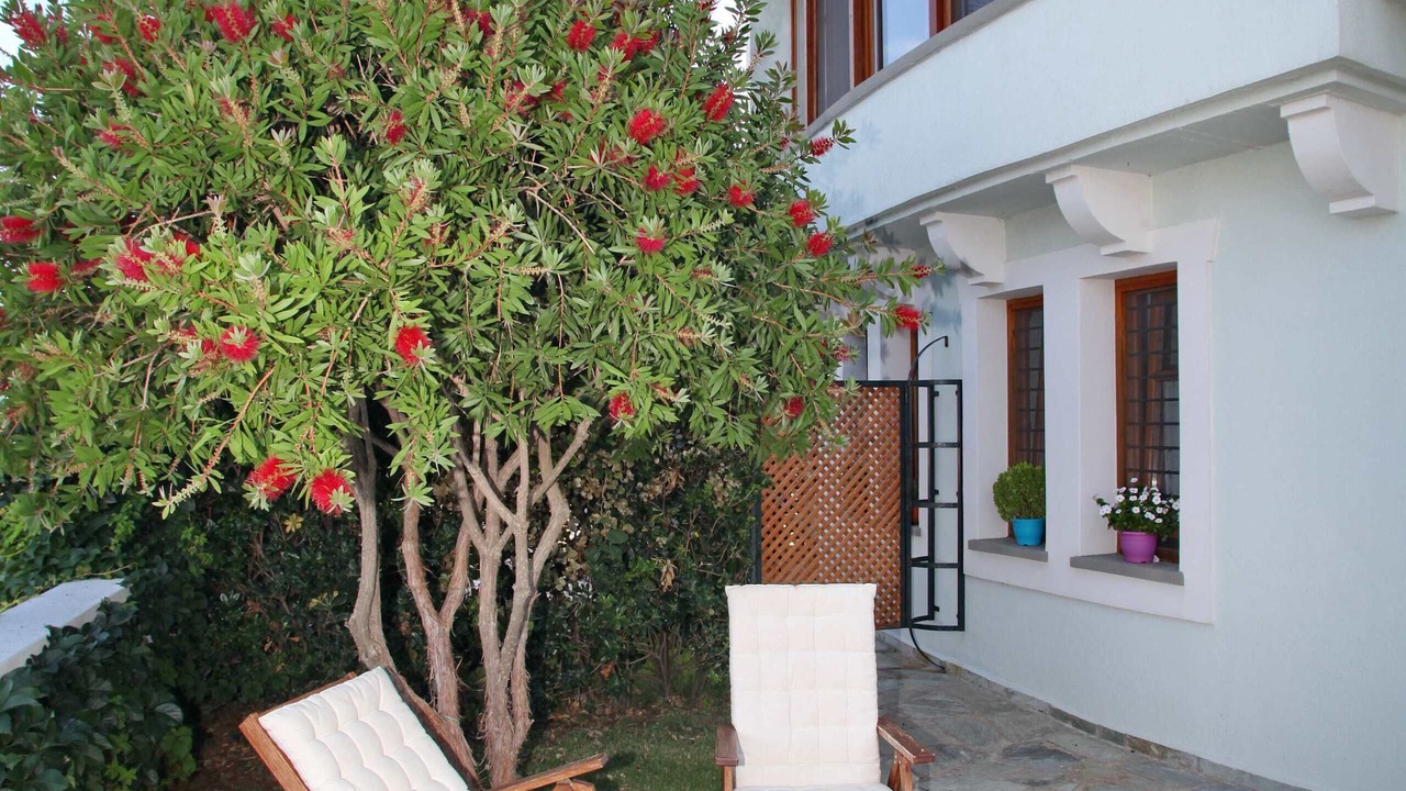 Photo of Outdoor in Skopelos