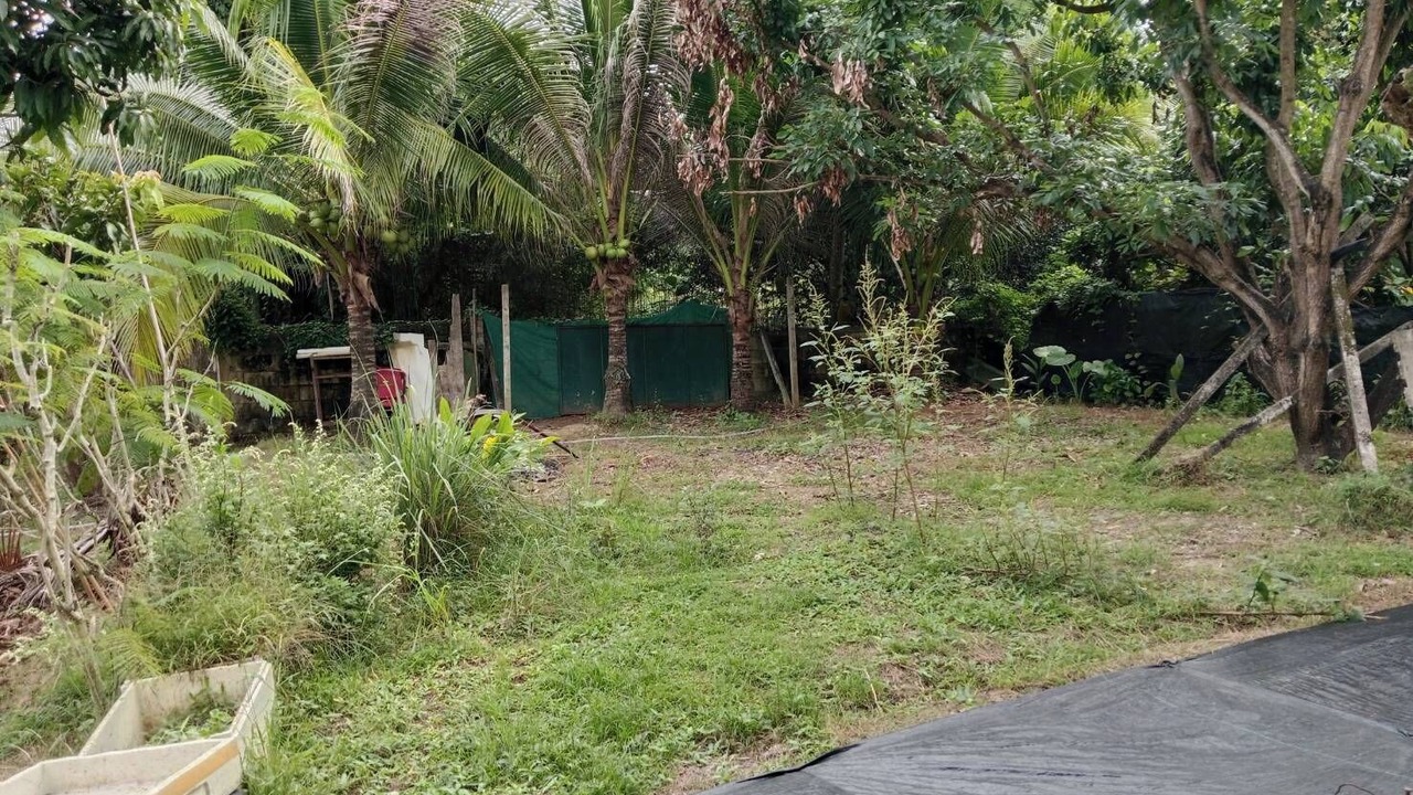 Photo of Outdoor in San Sai