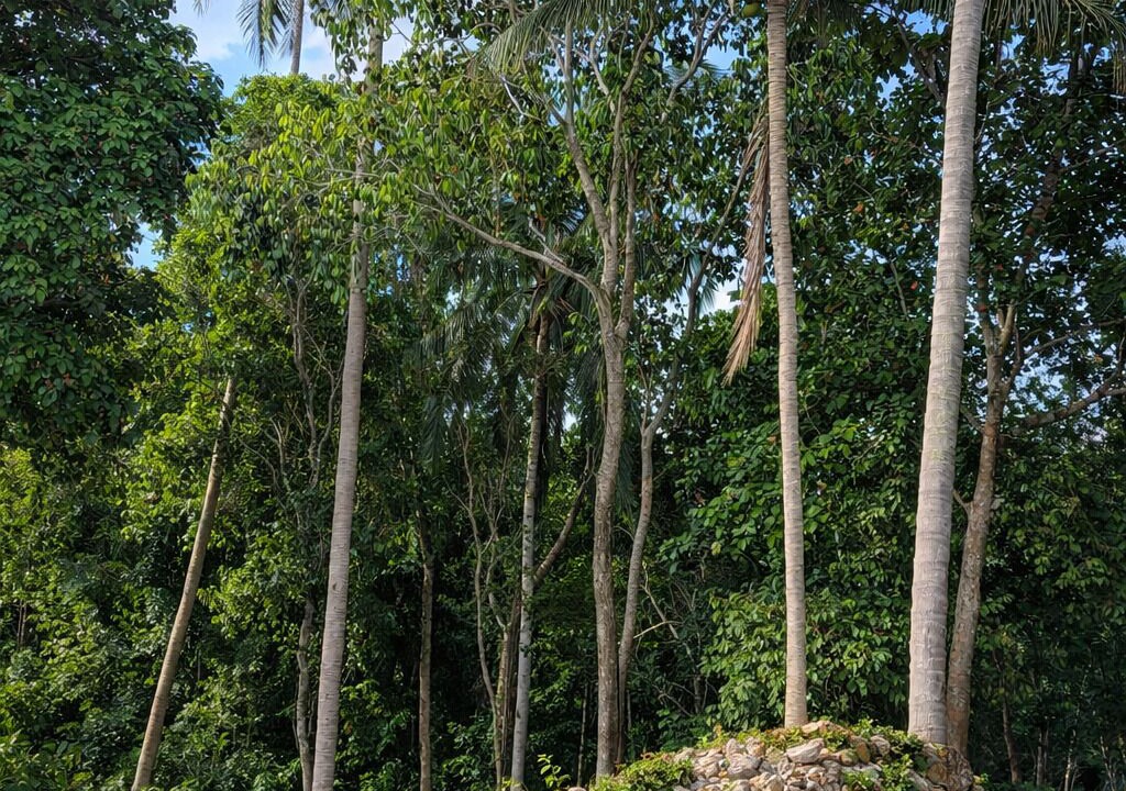 Photo of Outdoor in Ko Pha-ngan
