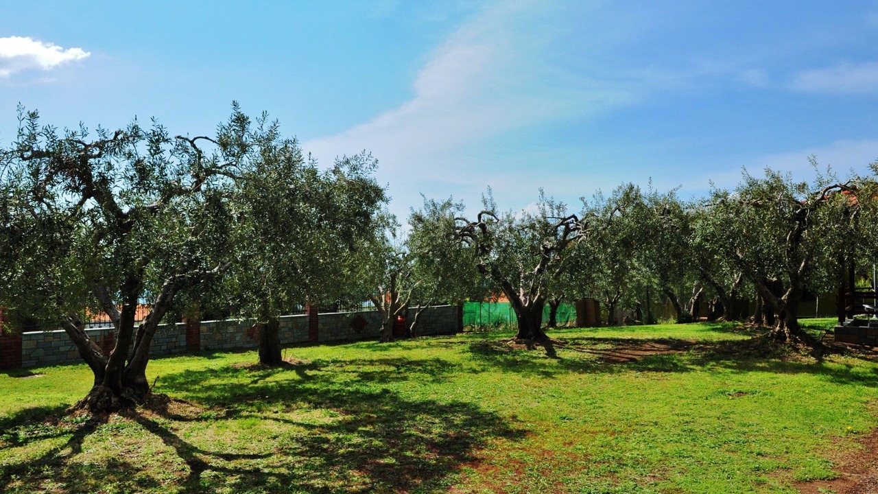 Photo of Others in Gerakini
