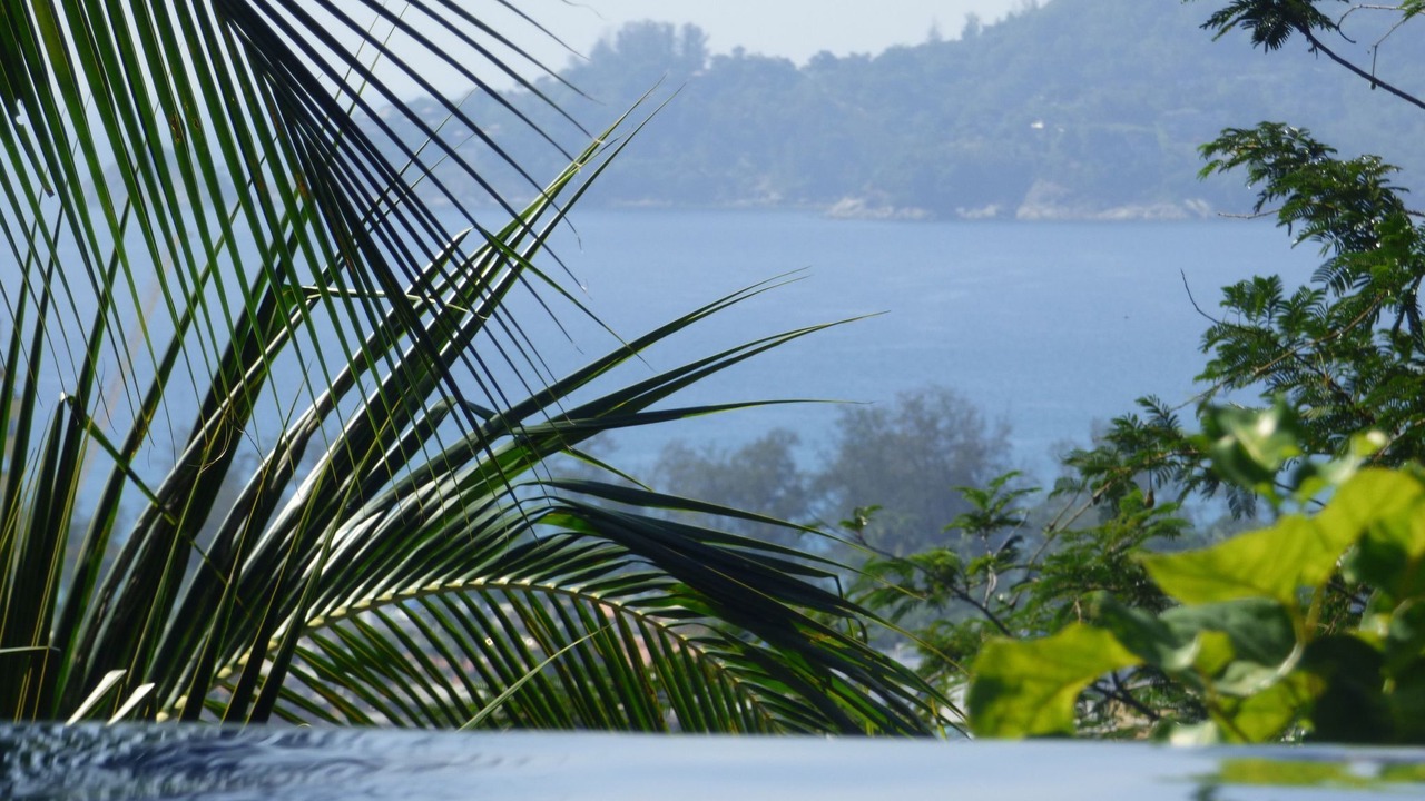 Photo of Others in Patong