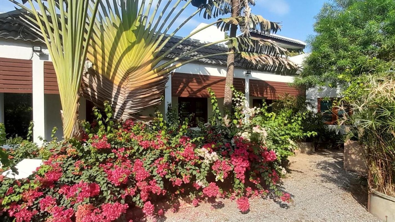 Photo of Outdoor in Sao Hai