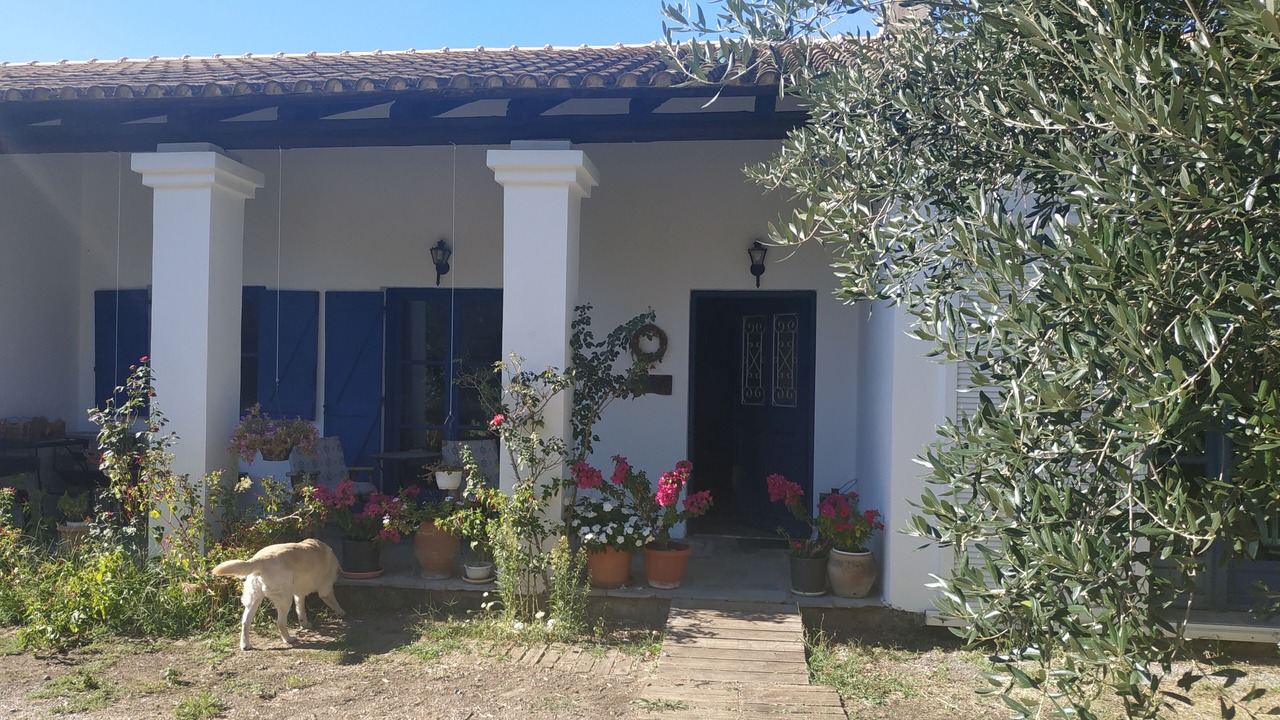 Photo of Outdoor in Agios Ioannis