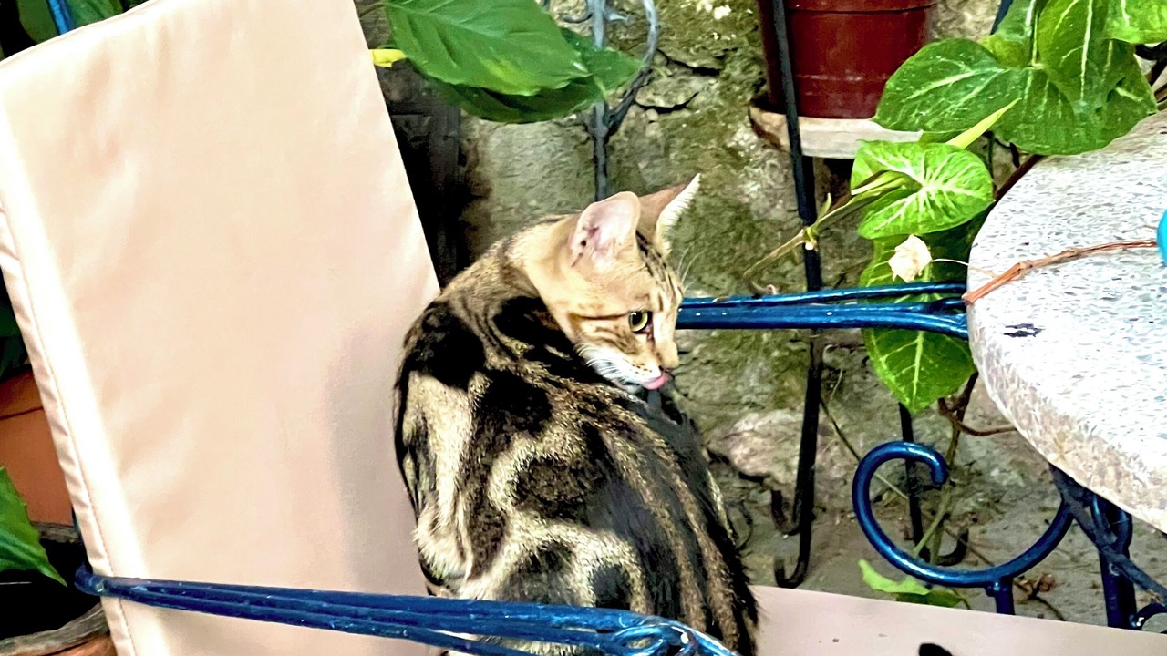 Photo of Outdoor in Kyrenia District
