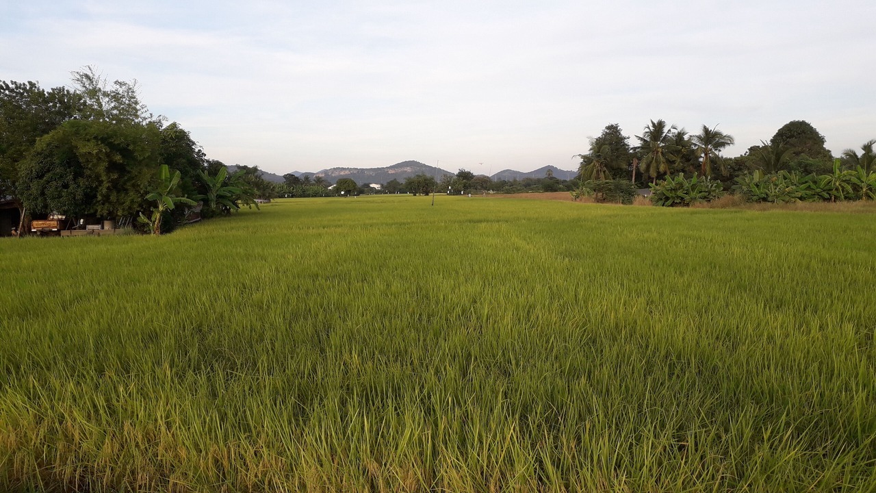 Photo of Others in Kanchanaburi