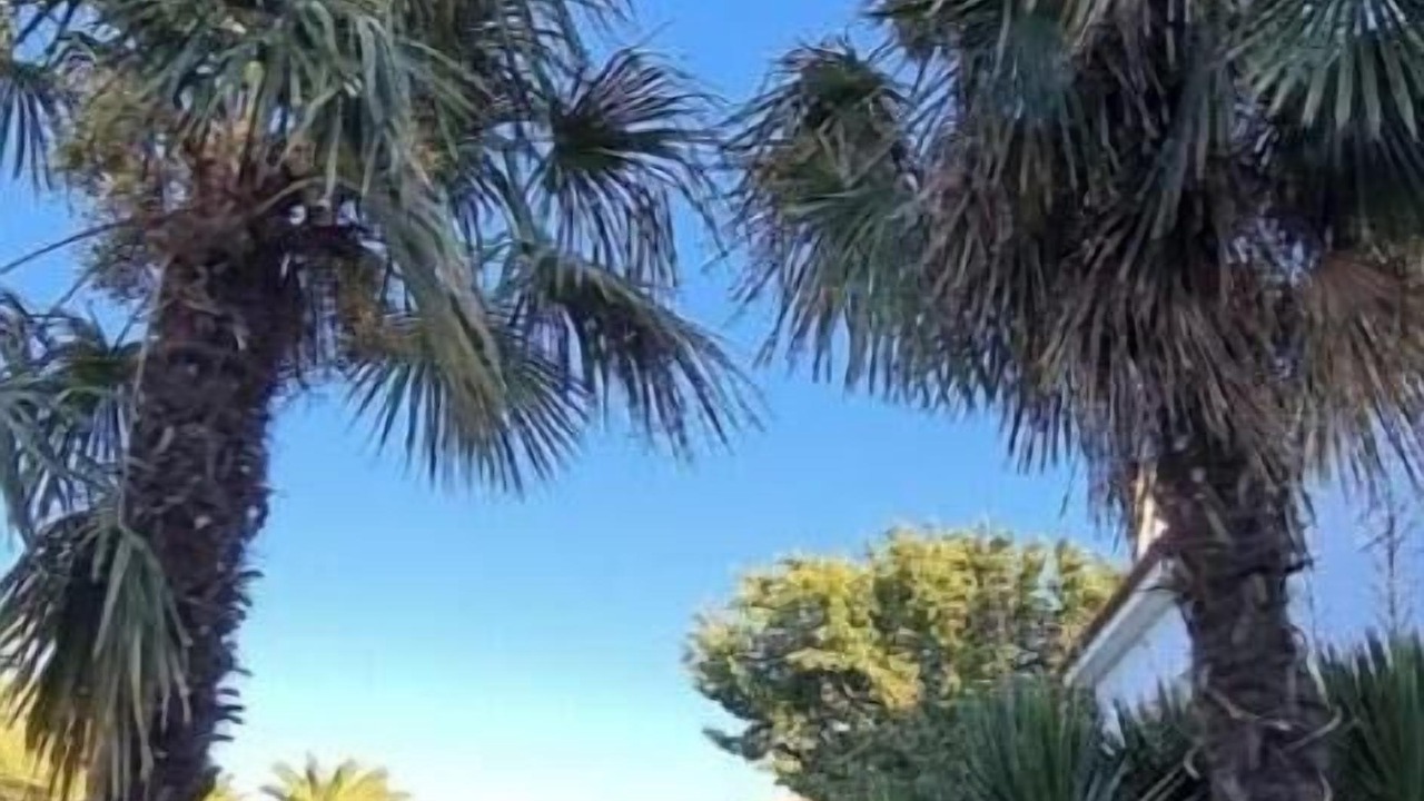 Photo of Outdoor in Mytilene