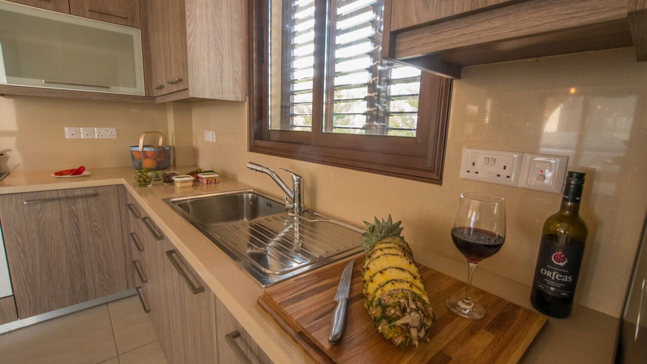 Photo of Kitchen in Ayia Thekla