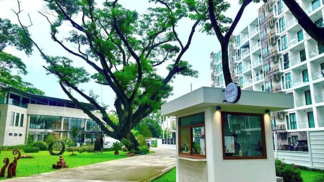 Photo of Outdoor in San Sai