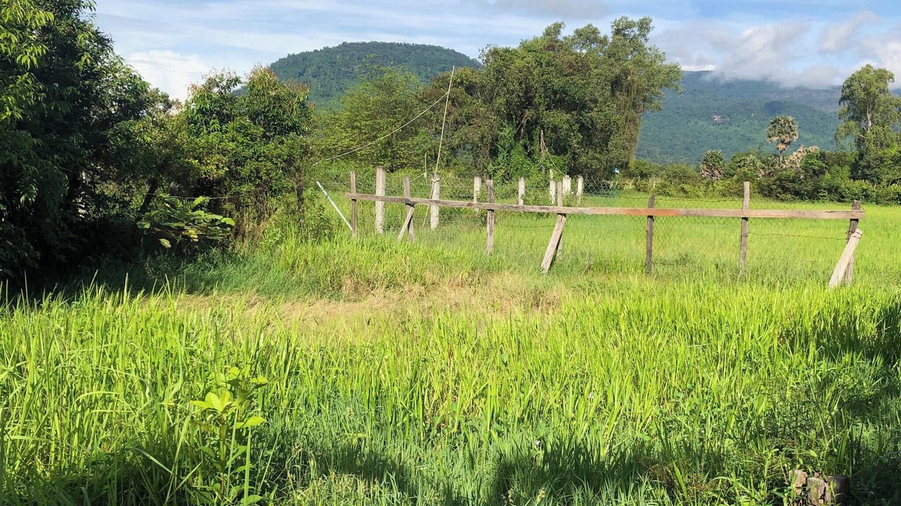 Photo of Others in Kampot