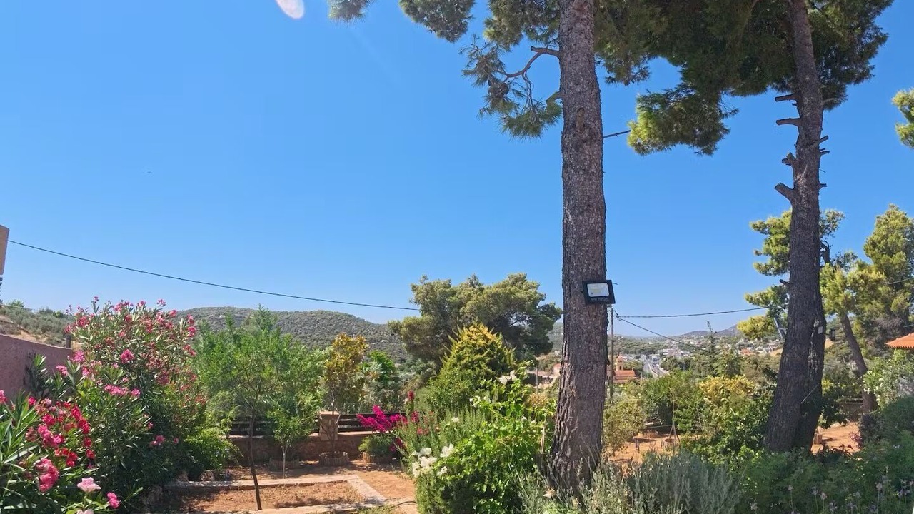Photo of Outdoor in Rafina