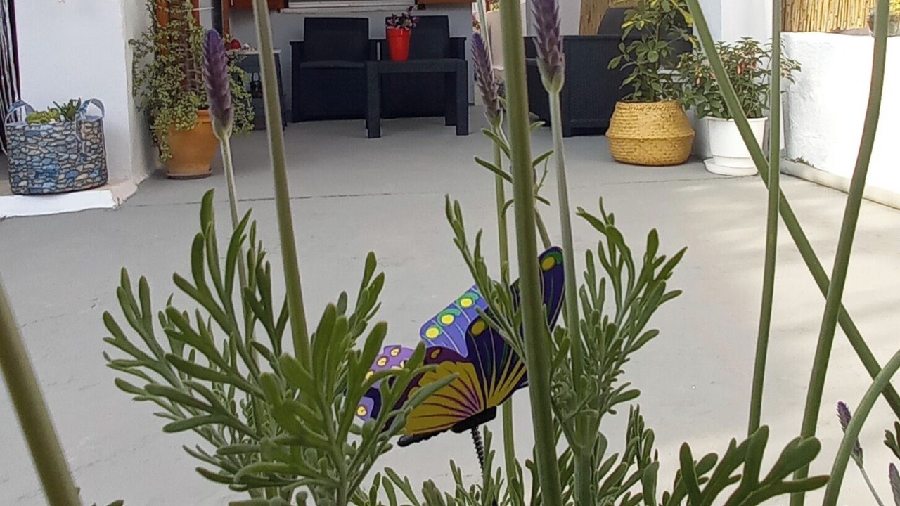 Photo of Outdoor in Nea Makri