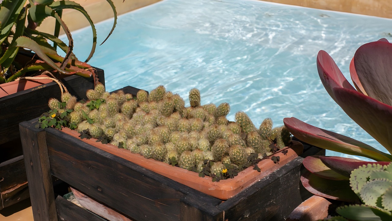 Photo of Outdoor in Kamari