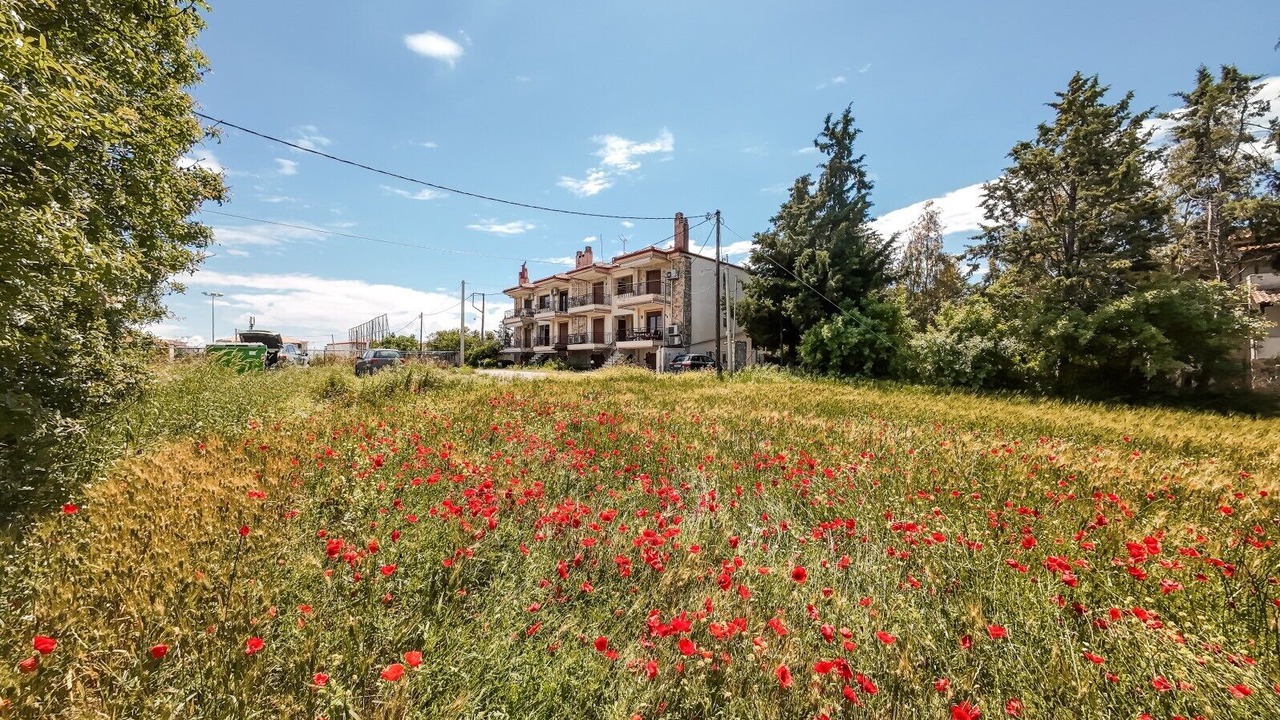 Photo of Others in Afytos