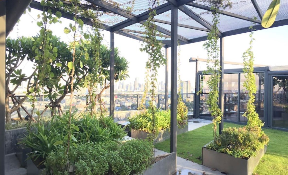 Photo of Outdoor in Sanam Pao