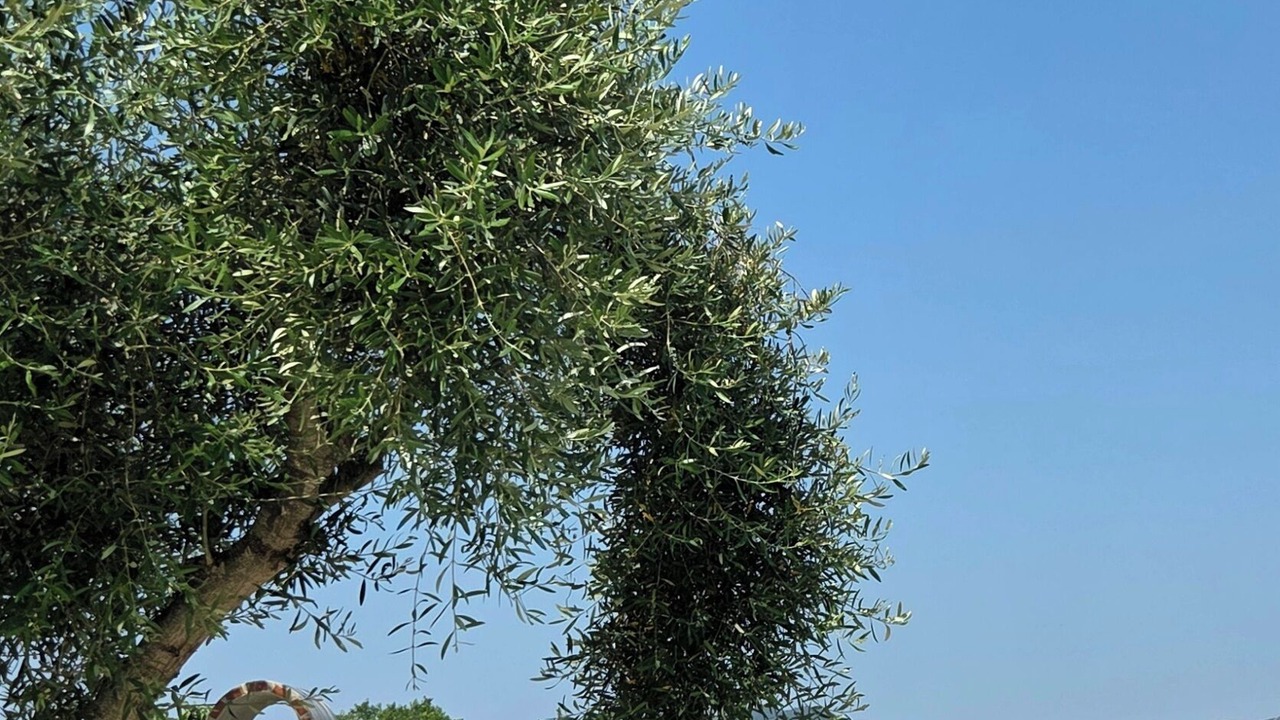 Photo of Outdoor in Sithonia