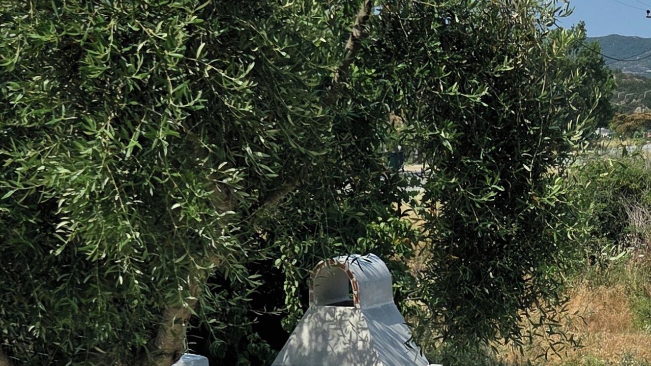 Photo of Outdoor in Sithonia
