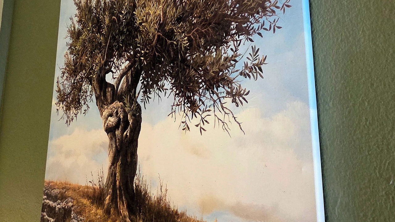 Photo of Others in Sithonia