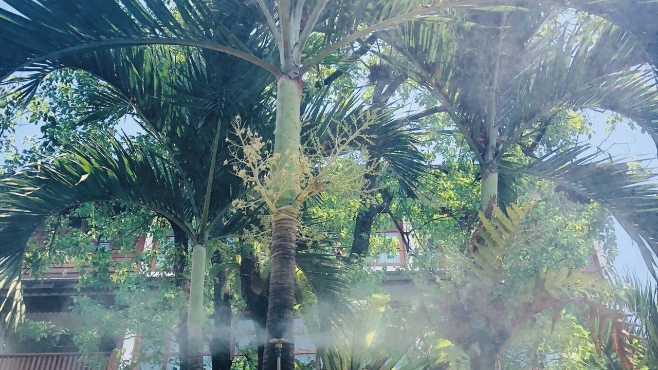 Photo of Outdoor in Chang Phueak