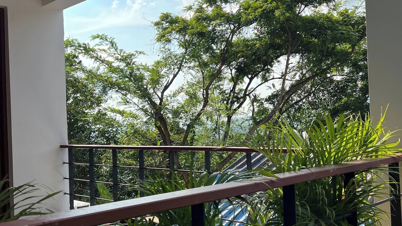 Photo of Outdoor in Patong