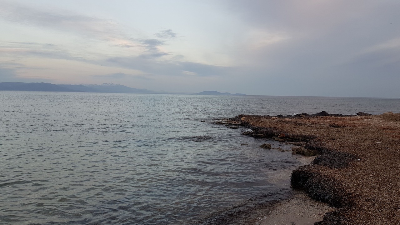 Photo of Others in Nea Makri