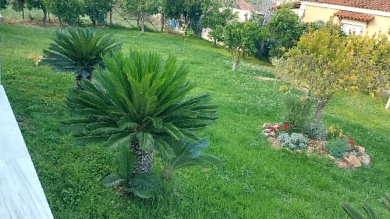 Photo of Outdoor in Kokkoni