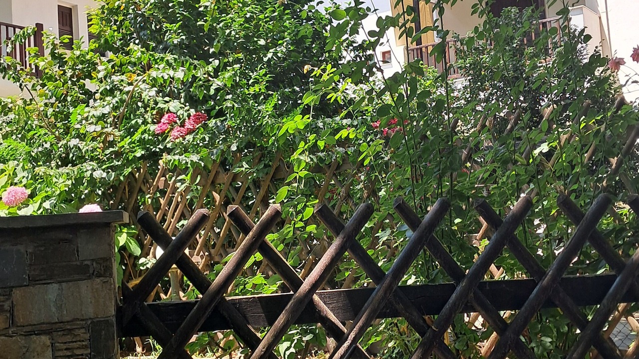 Photo of Outdoor in Papa Nero