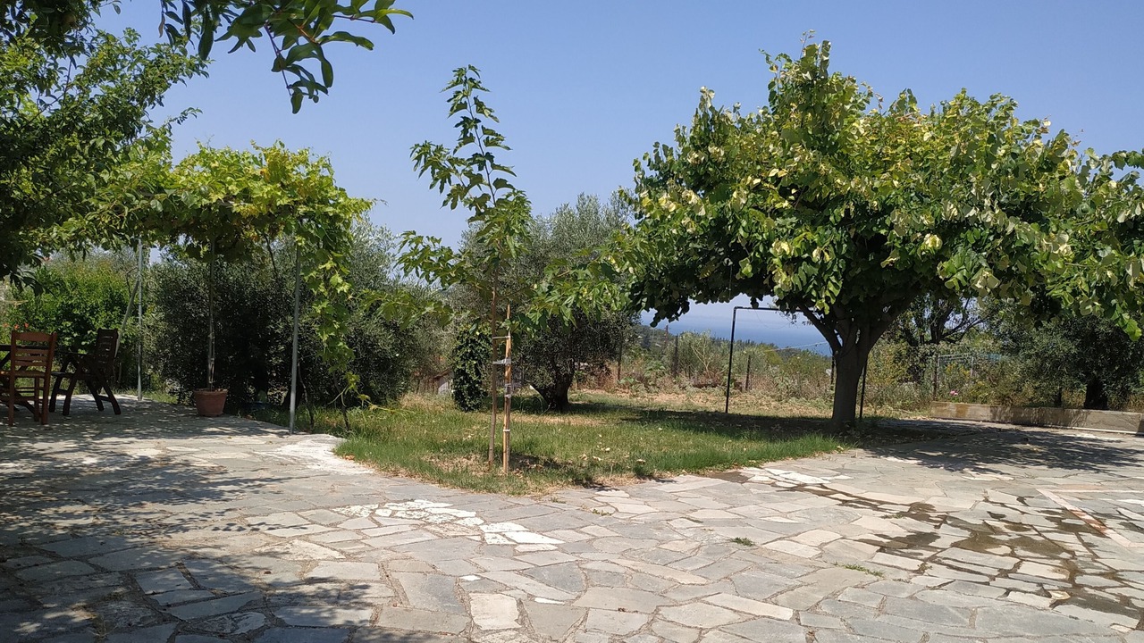 Photo of Outdoor in Agia Triada