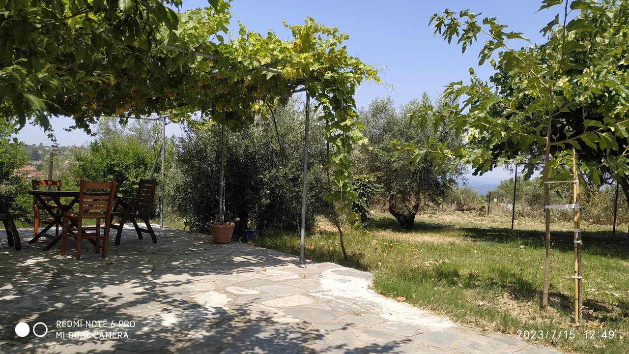 Photo of Outdoor in Agia Triada