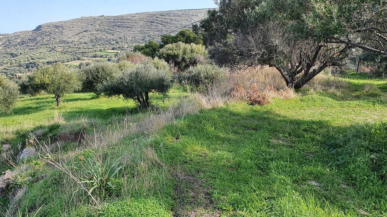 Photo of Outdoor in Knosos