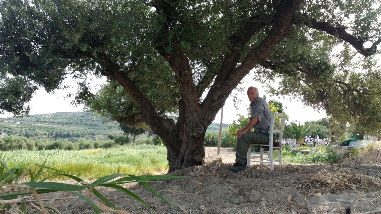 Photo of Outdoor in Knosos