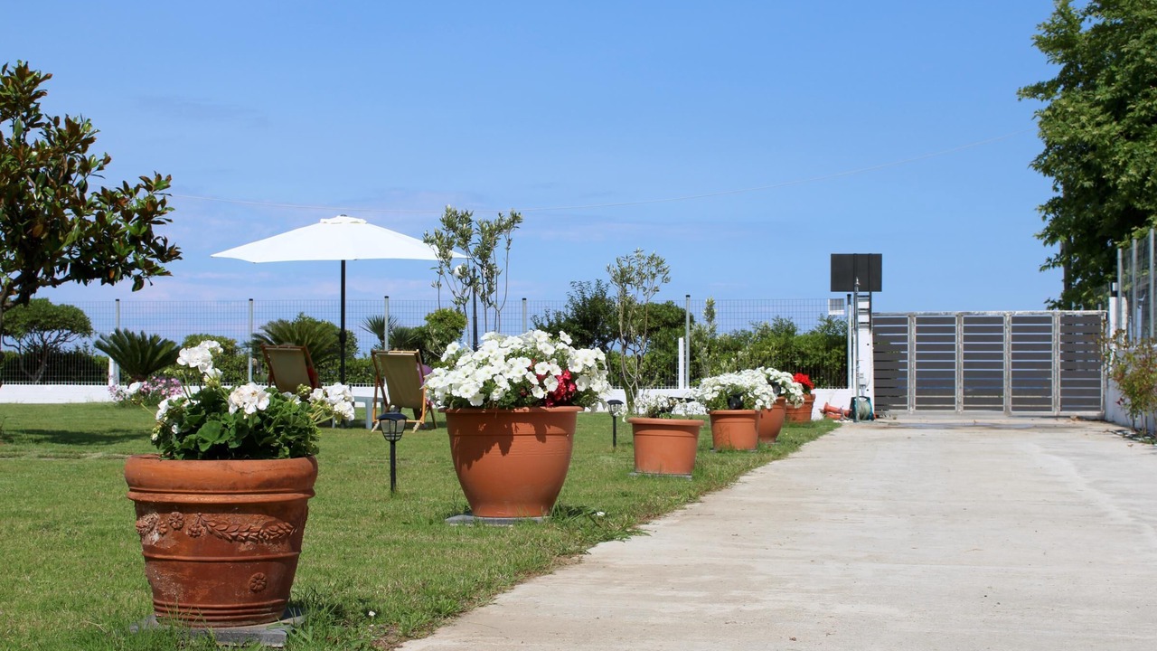 Photo of Outdoor in Skotina